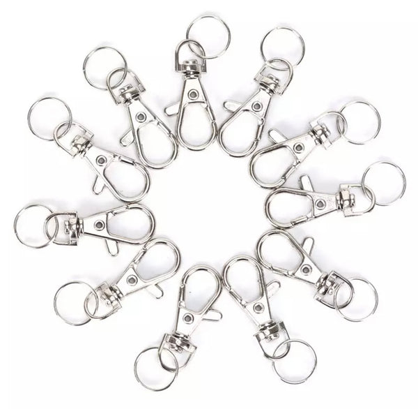 CLASP CLIPS 10pK