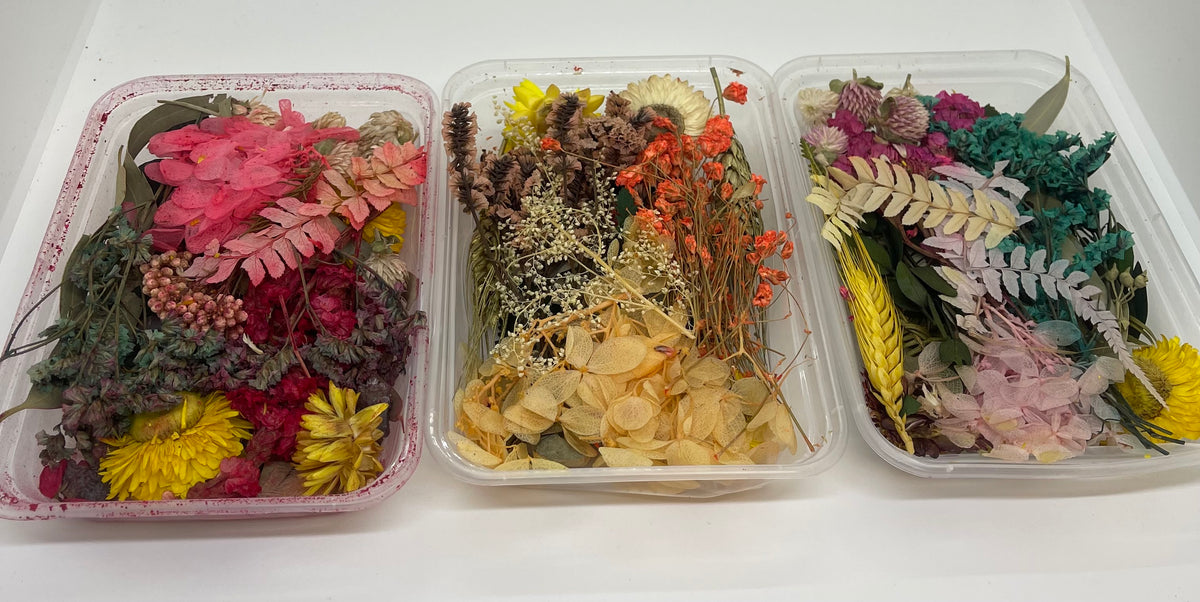 MIXED DRIED FLOWERS Perth Vinyl Supplies